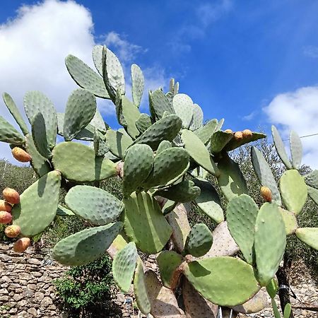 Le Drupe Villa Chiavari Dış mekan fotoğraf