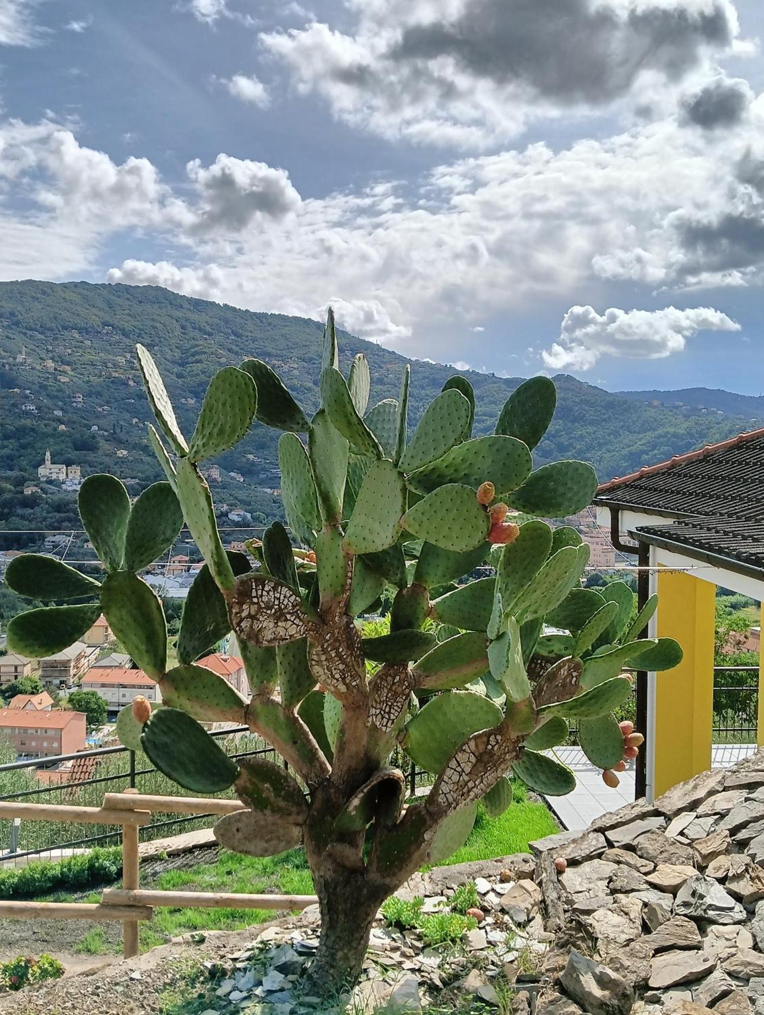Le Drupe Villa Chiavari Dış mekan fotoğraf