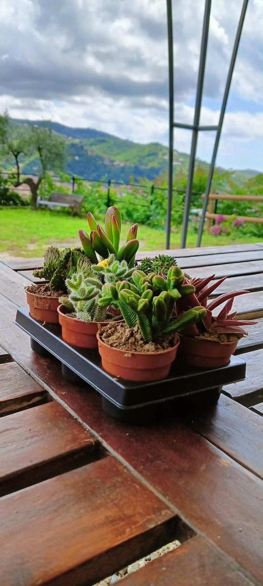 Le Drupe Villa Chiavari Dış mekan fotoğraf